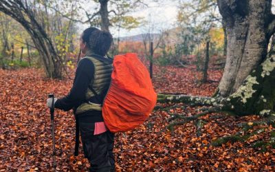 Celebrating Our Pioneer Initiative Graduates