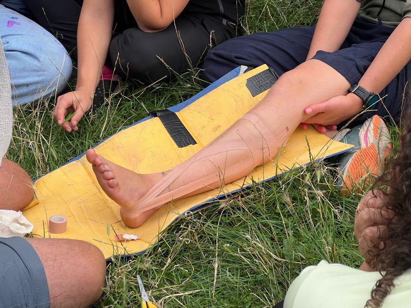 Training in practical skills